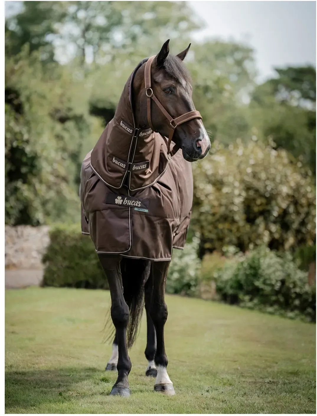 bucas Outdoordecke Irish Turnout 50 + Neck espresso 165 cm