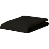 Essenza Spannbettlaken The Perfect Organic Jersey 90-100 x 200 - 200 x 220 cm schwarz