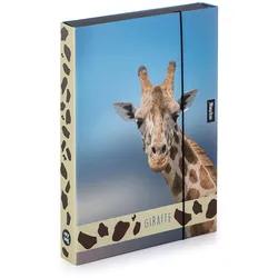 oxybag Heftbox Jumbo A4 Giraffe