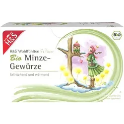H&S Wintertee Bio Minze-Gewürze Filterbeutel 40 g