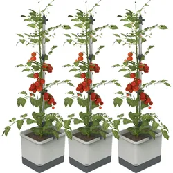 Gusta Garden TOM TOMATO 3er-Set, hellgrau