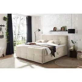 Riess-Ambiente Boxspringbett TOULOUSE 140x200cm beige inkl. Matratze und Topper mit Bettkasten