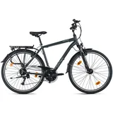 Dacapo Firenze 200 28 Zoll RH 53 cm grau
