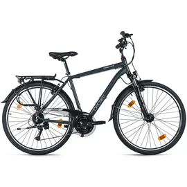 Dacapo Firenze 200 28 Zoll RH 53 cm grau