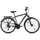 Dacapo Firenze 200 28 Zoll RH 53 cm grau