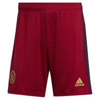 Adidas Ajax 22/23 Auswärtsshorts L