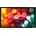 Sable Frame 100 16 9 Leinwand Schwarz