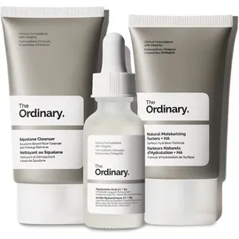 The Ordinary The Daily Set 50 ml + Hyaluronic Acid 30 ml + Natural Moisturizing Factors 30 ml