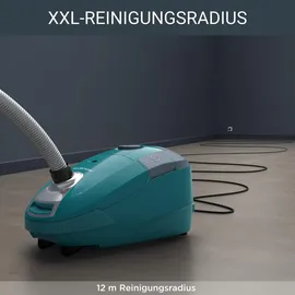 Rowenta Power XXL RO3143 Petrol/Grau