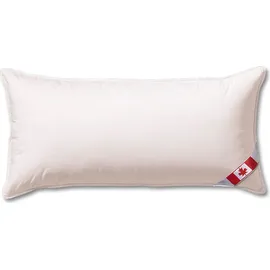 Künsemüller Daunenkissen Canadische Schneegans 40 x 80 cm Weiß