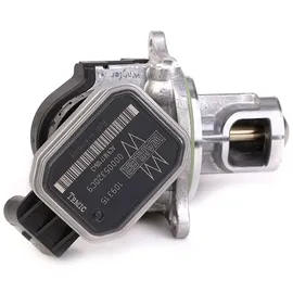 BorgWarner (Wahler) Borgwarner AGR-Ventil elektrisch, mit Dichtung