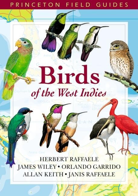 Birds of the West Indies: eBook von Herbert A. Raffaele