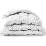 The White Stone 4-Jahreszeiten-Bettdecke mit Clips 140x200 cm | Sommerdecke 150 g + Übergangsdecke 250 g | Soft-Vlies-Füllung | Gesteppte Bettdec... - Weiß