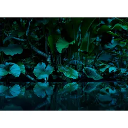 Fototapete LIVING WALLS "Tropical Leafs Vlies", bunt, B:3,5m L:2,55m, Vlies, Tapeten, Vlies, Wand, Schräge