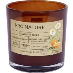 Müller Kerzen Duftglas PRO NATURE, (Ø x H): 100 x 100 mm  899100202o , 1 Packung = 6 Stück, Kamille & Orange