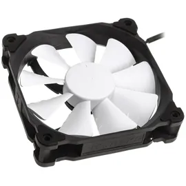 PHANTEKS PH-F120XP PWM | Gehäuselüfter