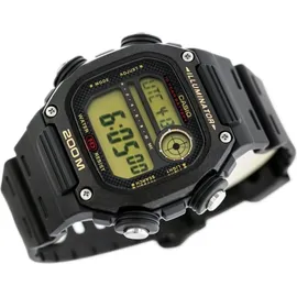 Casio Collection DW-291