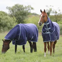 Bucas Atlantic Exclusive & Neck 0g