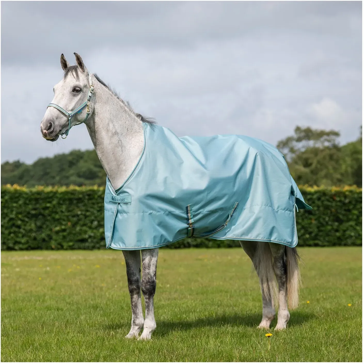 bucas Outdoordecke Freedom Turnout Light turquoise 125 cm
