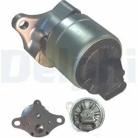 Delphi EG10006-12B1 AGR-Ventil