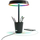 Umbra Cup Schwarz