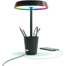 Umbra Cup Schwarz