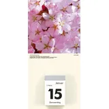 Zettler Kalenderrückwand Blumen sortiert