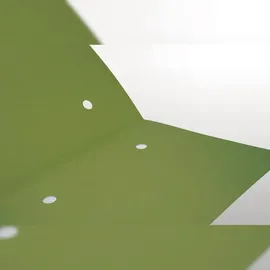 Falken Sammelmappe Forever® DIN A4 grün,