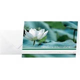Sigel Trauerkarten DS103, Water Lily, 170 x 115 mm, Klappkarten mit Umschlag, 10 Stück