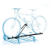 Peruzzo Topbike 314