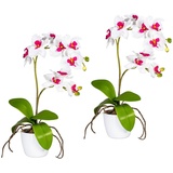 Creativ green Kunstpflanze »Orchidee Phalaenopsis«, im Keramiktopf, rosa