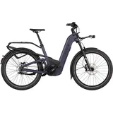 Riese & Müller Riese und Müller Delite5 GT pinion - 27.5 Zoll 800Wh 12G Fully - - 51 cm