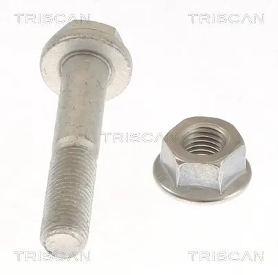 TRISCAN 850025407 für RENAULT