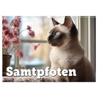Calvendo Das Jahr der Samtpfoten (Wandkalender 2026 DIN A3