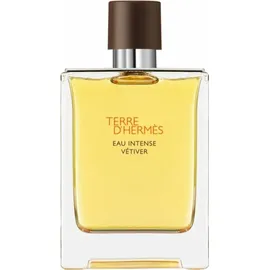 Hermès Terre d'Hermes Eau Intense Vetiver Eau de Parfum 100 ml