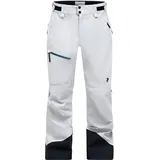 Peak Performance Alpine GTX 3L Skihose Grau/M