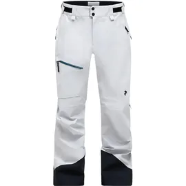 Peak Performance Alpine GTX 3L Skihose Grau/M