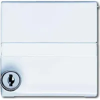 Busch-Jaeger Zwischenring aws 2118 GKSLN-34