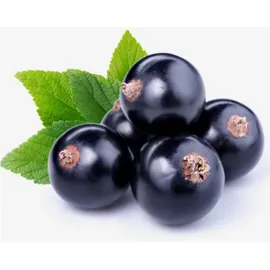 YODEYMA Adriana Eau de Parfum 100 ml