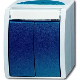 Busch-Jaeger Doppeltaster 2621 WN-53-205-101
