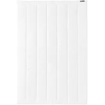 Centa-Star Famous Leicht-Bett 200x200 cm