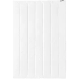 Centa-Star Famous Leicht-Bett 200x200 cm