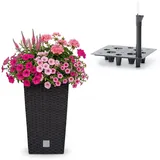 Prosperplast Blumentopf in Rattan-Optik mit Einsatz und Bewässerungssystem | anthrazit | wetterfest & UV-beständig | aus robustem Kunststoff | für Innen- und Außenbereich | 26,5 x 26,5 x 50 cm