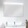 Fackelmann LED-Spiegelelement Brillant Light 100 cm