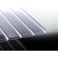 T&J Doppelstegplatten 16 mm glasklar 980 x 3500 mm