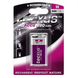 9 Volt NiMH Akku Tecxus 9 Volt Akku 280mAh