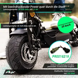 eFlux Street 20 Pro schwarz