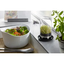 GEFU Bivita Sprossenglas (18910)