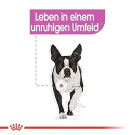 Royal Canin Mini Relax Care 3 kg