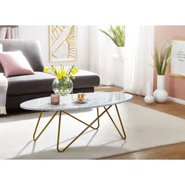 FineBuy Couchtisch Marmor Optik Weiß MDF 120 x 60 x 40 cm